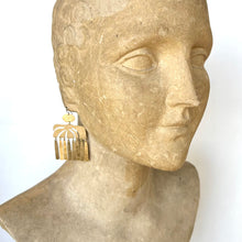Load image into Gallery viewer, Brassisse Earrings
