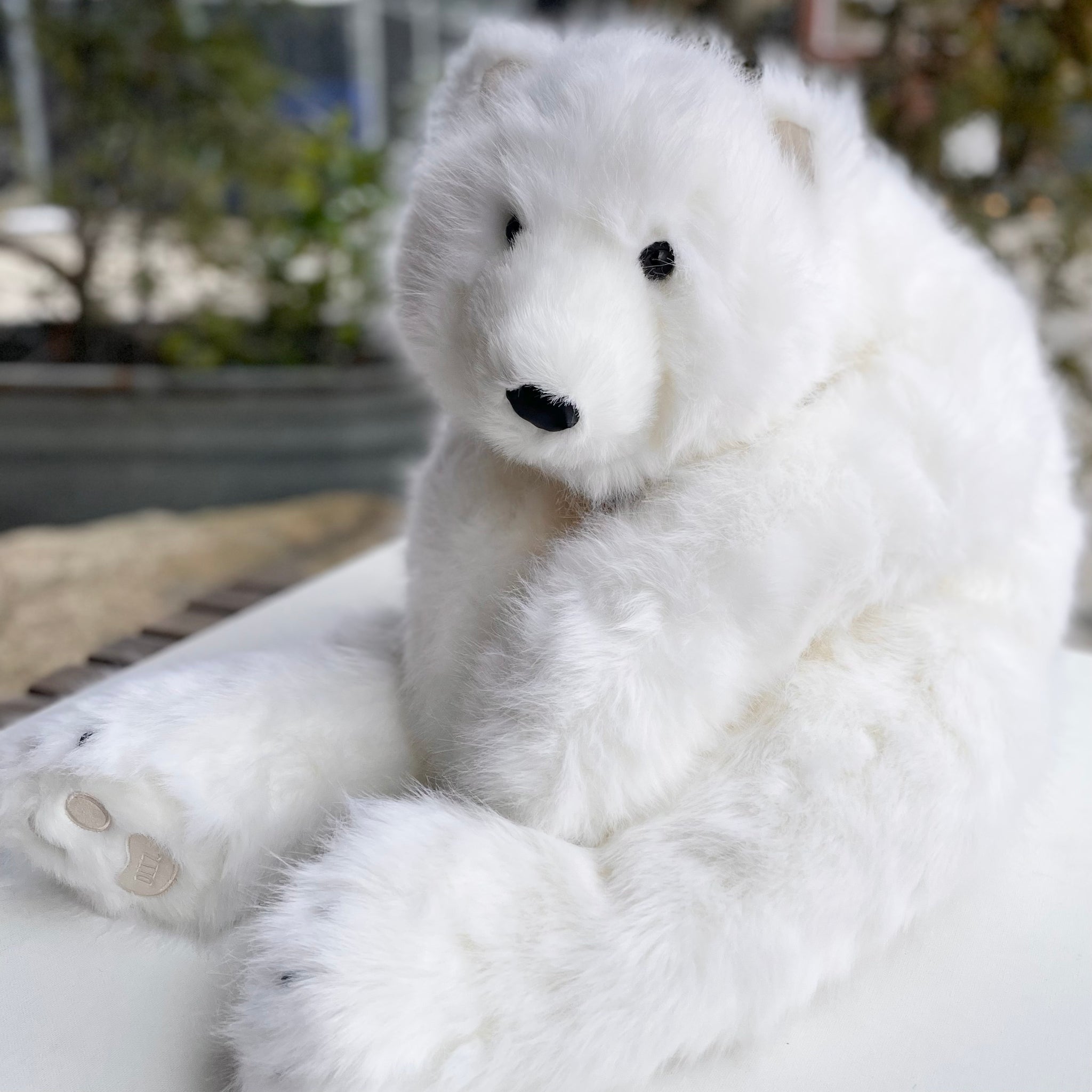 Big Cuddly Polar Bear Simple Pleasures Providence