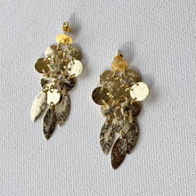 Load image into Gallery viewer, Golden Flash Earrings
