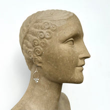 Load image into Gallery viewer, Confetti Earrings
