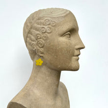 Load image into Gallery viewer, Flower Pop Earrings
