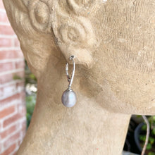 Load image into Gallery viewer, Classic Pearl Drops ~ * SALE ! *
